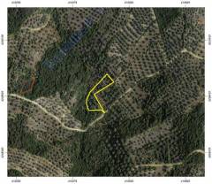 251020165323 Αγγελίες ακινήτων: Κορώνειας Βοιωτίας 251020165323: Αγροτεμάχιο 3000€ Κοινότητα Αγία Παρασκευή, Κορώνεια Κορώνειας