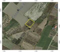 251020170410 Αγγελίες ακινήτων: Κορώνειας Βοιωτίας 251020170410: Αγροτεμάχιο 3000€ Κοινότητα Αγία Παρασκευή, Κορώνεια Κορώνειας